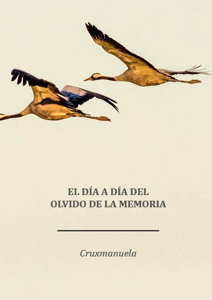 El día a día del olvido de la memoria
